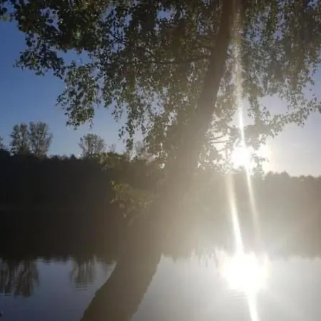 Ferienhaus In Silbersee Mit Garten By Interhome *